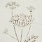 23" White Metal Farmhouse Floral Wall Décor Set